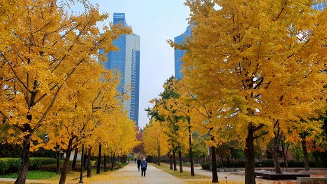A Relaxed Afternoon Route Along Seoul Forest's Seongsu Side — photo from Korean media