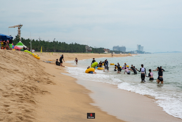 A Weekend Itinerary for Coffee Lovers at Gangneung Anmok Beach — photo from Korean media