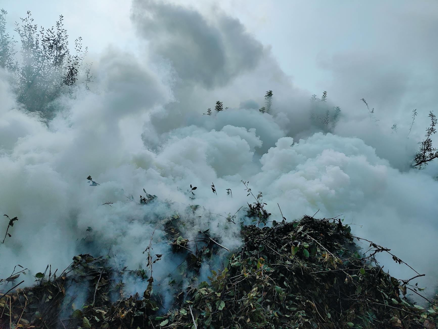 Smoke billows over burning vegetation, capturing air pollution in Shopian outdoors.
