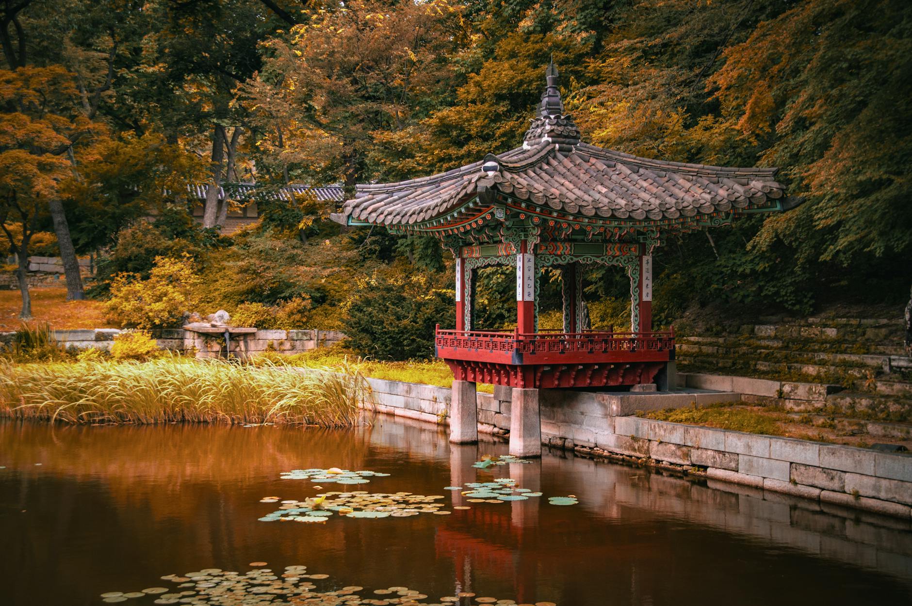 Traditional Korean pavilion by a serene pond with autumn foliage in Seoul, South Korea.